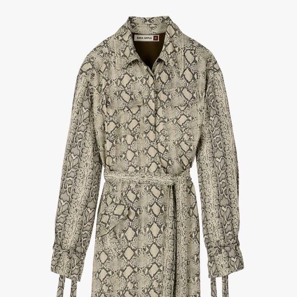 ZARA SRPLS Snake Print Dress - Picture 1 of 4